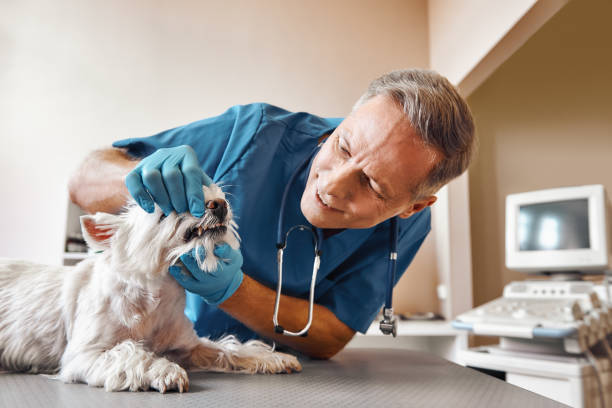 Best Emergency Root Canal Treatment in Cedar Bluff, VA